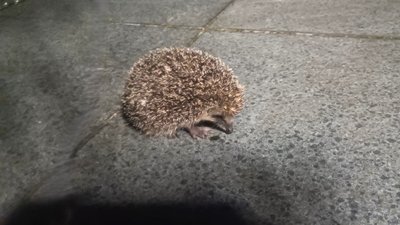 Wissen | NRWision