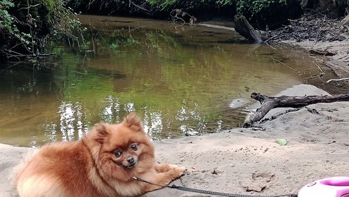 Patthorster Hexenpatt bei Steinhagen