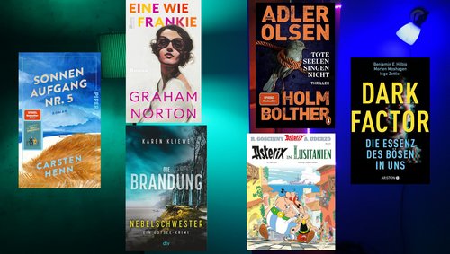 Der LeseWurm: "Dark Factor", "Eine wie Frankie", "Tote Seelen singen nicht"