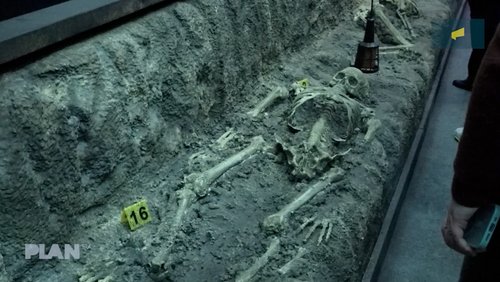 PlanTV: Events zwischen True Crime, Kochen und Karten