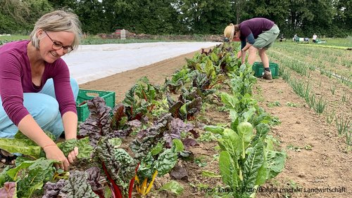 Welle-Rhein-Erft: "Bürger machen Landwirtschaft" - Projekt in Pulheim