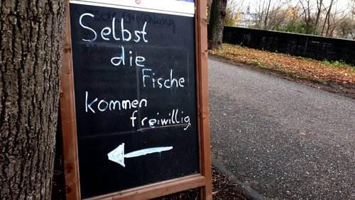 Die Nabel-Show: Irgendwie fischig …