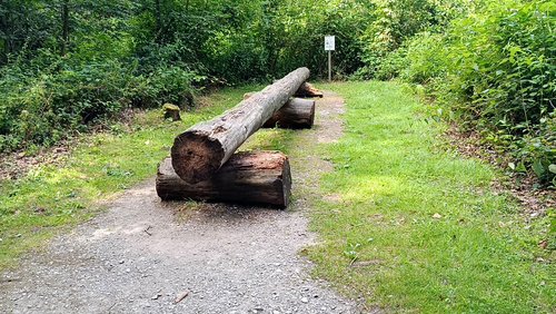 Entdeckungsreise auf dem Erlebnispfad Holterwald