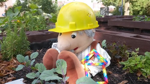 Wohnprojekte in Münster: Miteinander zuhause - Grafschaft 31 und Drubbel