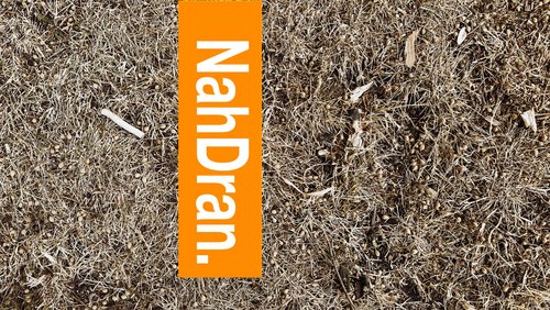 NahDran.: Hitzeschutz und Wohnen in Bielefeld