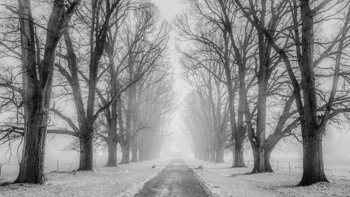 Region WAF: Birgit von Winterfeld, Autorin aus Warendorf