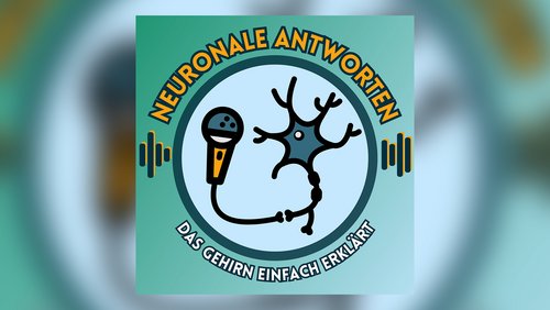 Neuronale Antworten: Neuroplastizität - Das flexible Gehirn