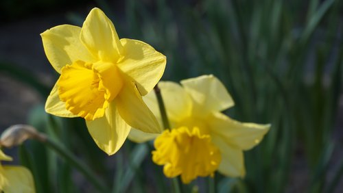 Hier und Jetzt: Offline Clubs, Brustkrebs-Prävention, Frühling