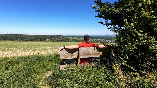 WanderBlog: Rundweg Vinxtbachtal