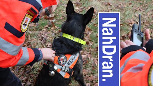 NahDran.: BRH Rettungshundestaffel Ostwestfalen Lippe