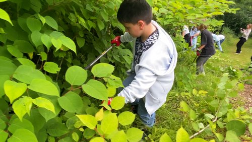 Die Ranger Story: Der Schulwald - Grundschulen Martinschule und Klosterschule in Bielefeld