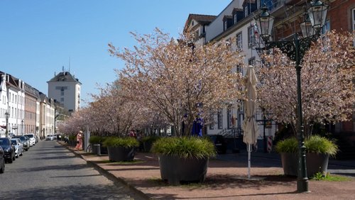 Ich fahr' so gern nach Kaiserswerth