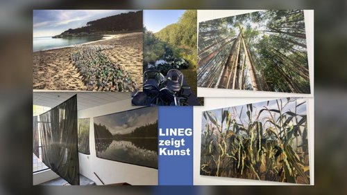 LINEG zeigt Kunst: Ausstellung "Plastic Planet"