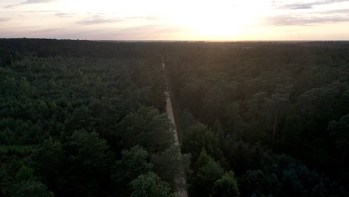 Krankheit Mensch: Glühwürmchen-Wanderung in Niederkrüchten