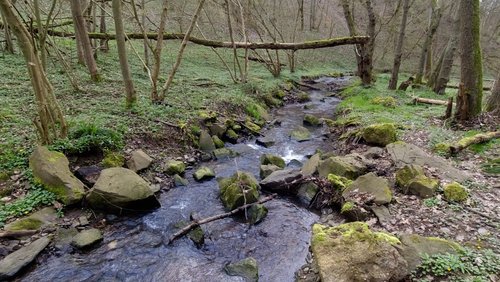 WanderBlog: Abenteuertour Kondertal