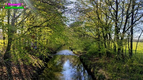Der Kiwittsheider Rundweg in Versmold 