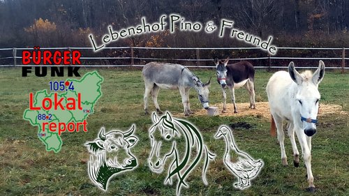 Lokalreport: Lebenshof "Pino und Freunde" in Siegen