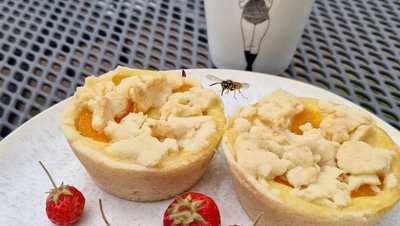 Hier und Jetzt: Promille-Grenze, Prokrastination, Wespen