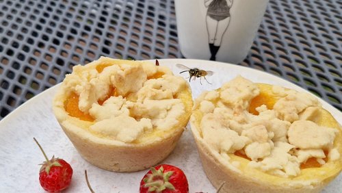 Hier und Jetzt: Promille-Grenze, Prokrastination, Wespen