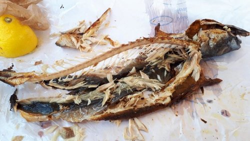 Die Nabel-Show: Fischmarkt Schweinfurt, Kommunalwahlen in Bayern 2026, Schwäbische Witze