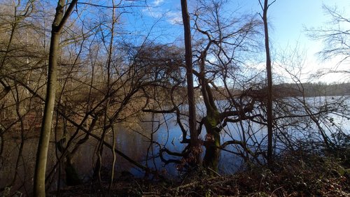 WanderBlog: Rheinland-Marsch 2024