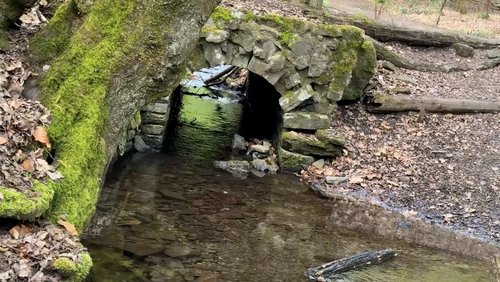 Der Murmelbach im April