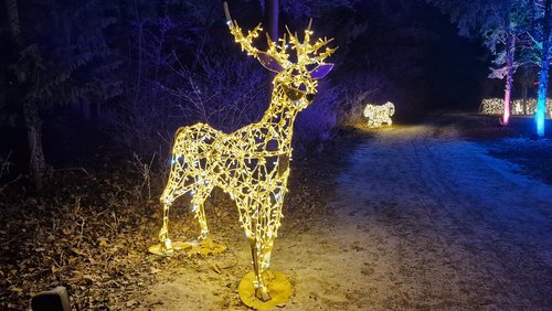 Do biste platt: Dai Plattduitske Kristdaag 2025 - Die Plattdeutsche Weihnacht 2025 für Westfalen