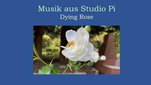 Musik aus Studio Pi: Dying Rose