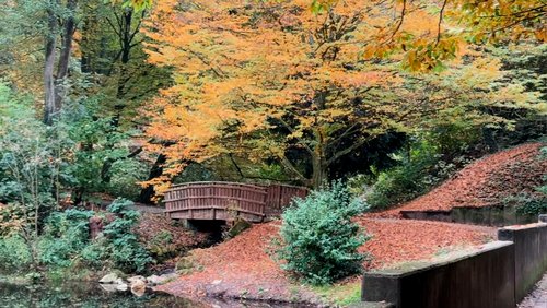 Musik aus Studio Pi: Autumn-Ballad