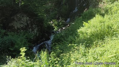 Hier und Jetzt: Chronoworking, Zecken, Hitze