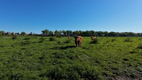 WanderBlog: Abenteuertour Afferden