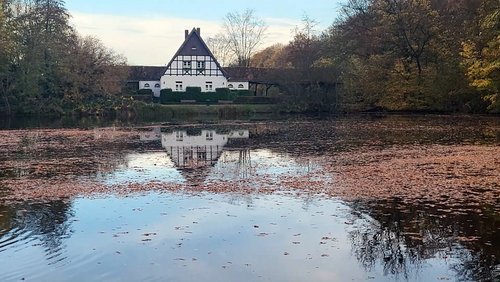 Schönes Gelsenkirchen - Der Stadtwald in Buer