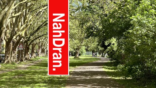 NahDran.: Ausstellung "Die Unterwerfung - Filmschaffende in der NS Zeit" im Historischen Museum am Ravensberger Park