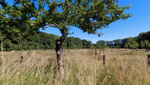 WanderBlog: Traumweg Wildes Schaagbachtal am Niederrhein