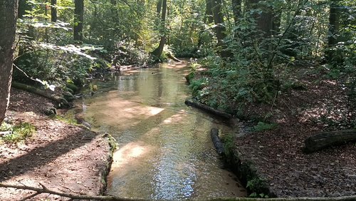 Unterwegs am romantischen Furlbachtal Stukenbrock Senne 