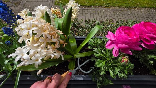 Easy Listening: Gartenarbeit im Frühling