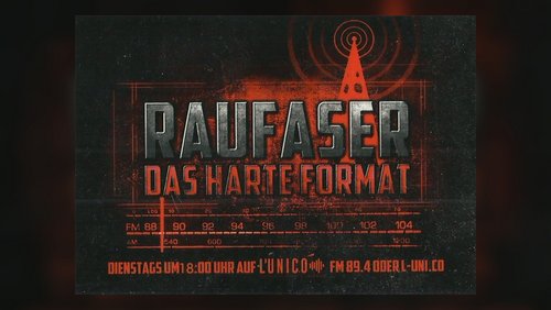 Raufaser: Robert Philippsen - Gitarrist bei "Blind Passage", schlimmste Musikvideos, problematische Zitate