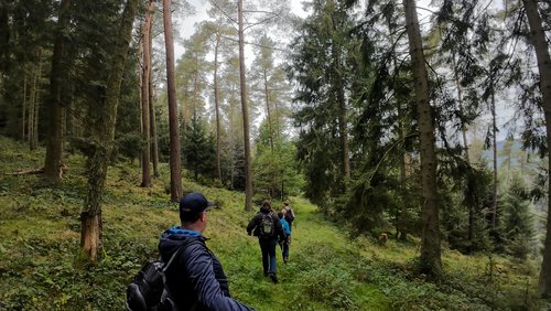 WanderBlog: Bunkerrunde am Wanderparkplatz Buhlert