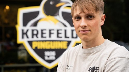 Crosscheck: Tabellensituation der Krefeld Pinguine, Charity-Eishockeyspiel