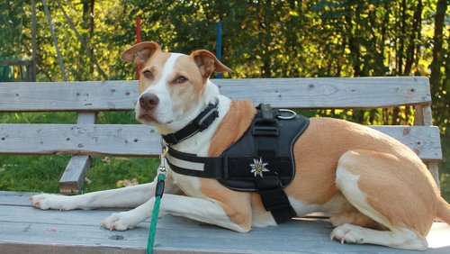 KURUX-Abenteuerwerkstatt Bergneustadt: Alis, der Roboter, dreht durch