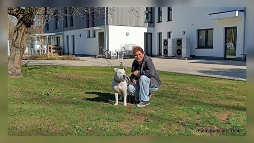 Welle-Rhein-Erft: Gassi-Geher gesucht!