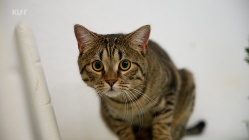 KURT - Das Magazin: XXX