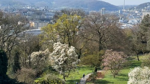 Musik aus Studio Pi: März-Frühling