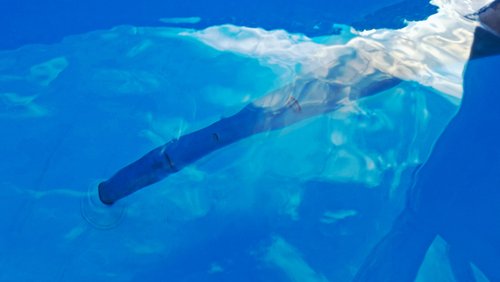 Die Nabel-Show: Unter Wasser - Blubbblubb Blubb Blubb Blubb!