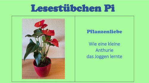 Lesestübchen Pi: Pflanzenliebe - Wie eine kleine Anthurie das Joggen lernte