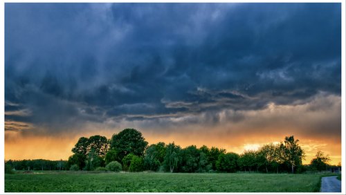 Mark geht wandern: Naturschutzgebiet Heubachniederung in Dülmen