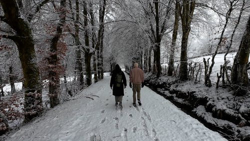 WanderBlog: EifelSchleife "Zittergras und wilde Orchideen"