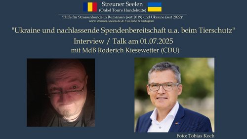 Der Ukraine-Talk: Weniger Spenden für Tierschutz