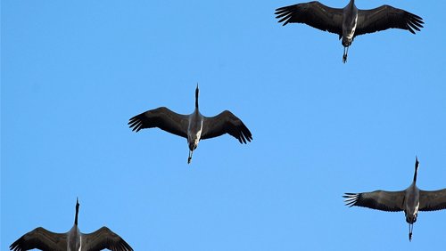 Radio Hauhechel: Glühweinstand, Konsum, Privatisierung der Erdatmosphäre