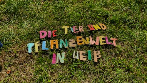 Die Tier- und Pflanzenwelt in Weiß